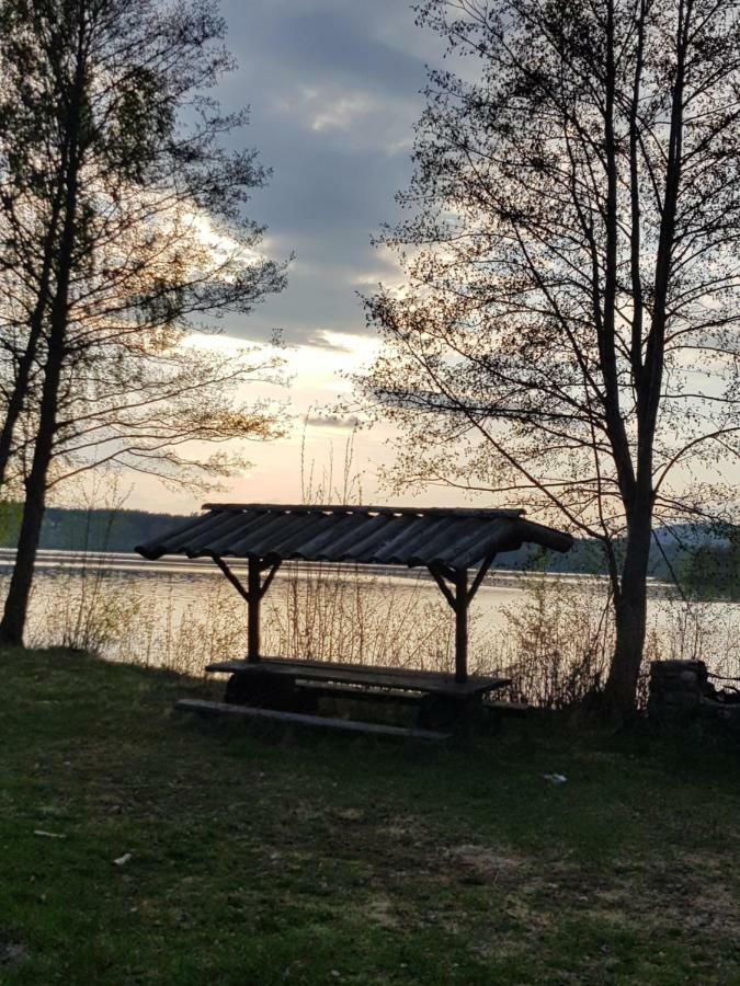 Schwedenhaus Lillkvist Villa Uddeholm Bagian luar foto